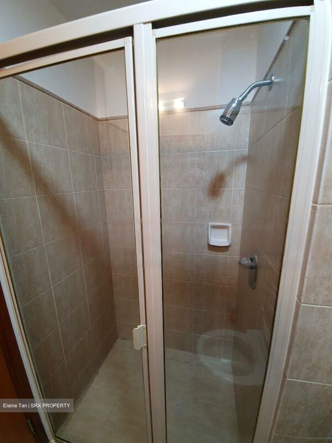 Tanglin View (D3), Condominium #460981291